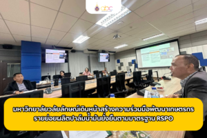 ปกข่าว RSOP3